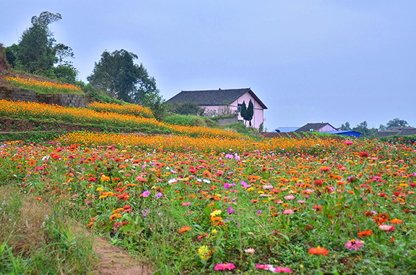 2014�����컨�ȶ�����ͼ����