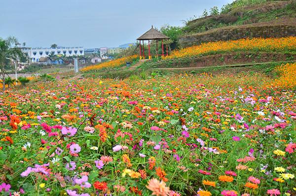 2014�����컨�ȶ�����ͼ����