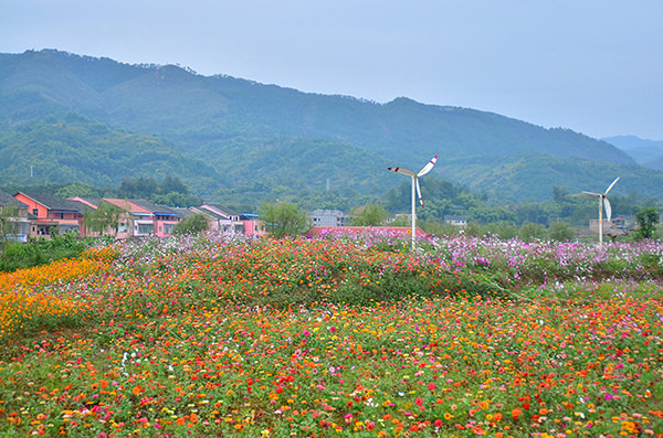 2014�����컨�ȶ�����ͼ����