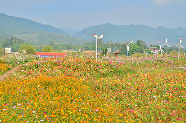 2014�����컨�ȶ�����ͼ����