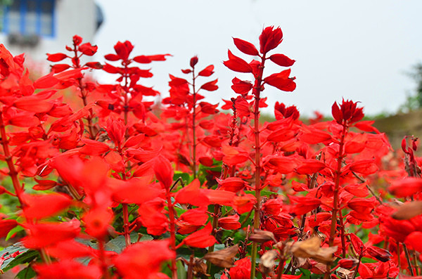 2014�����컨�ȶ�����ͼ����