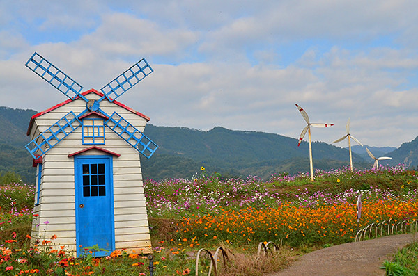 2014�����컨�ȶ�����ͼ����