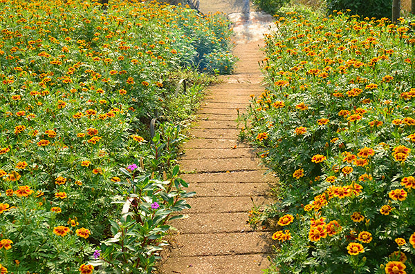 2014�����컨�ȶ�����ͼ����