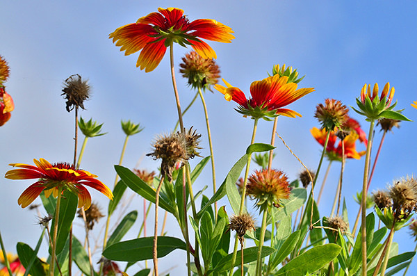 2014�����컨�ȶ�����ͼ����