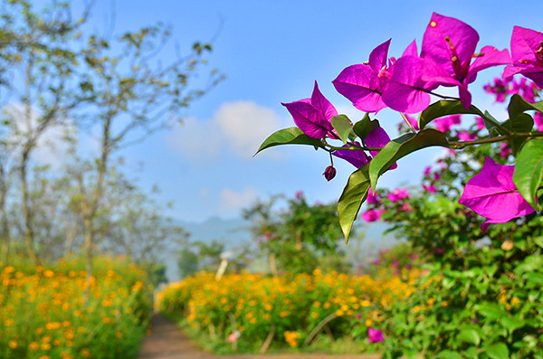 2014�����컨�ȶ�����ͼ����