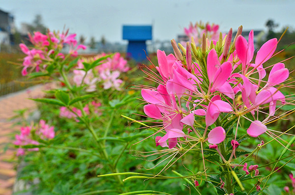 2014�����컨�ȶ�����ͼ����