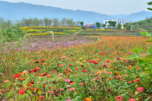 2014�����컨�ȶ�����ͼ����