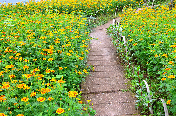 2014�����컨�ȶ�����ͼ����