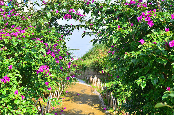 2014�����컨�ȶ�����ͼ����