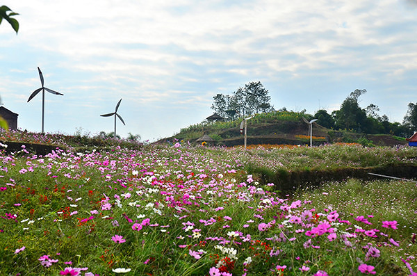 2014�����컨�ȶ�����ͼ����