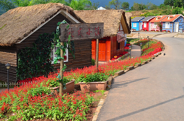 2014�����컨�ȶ�����ͼ����