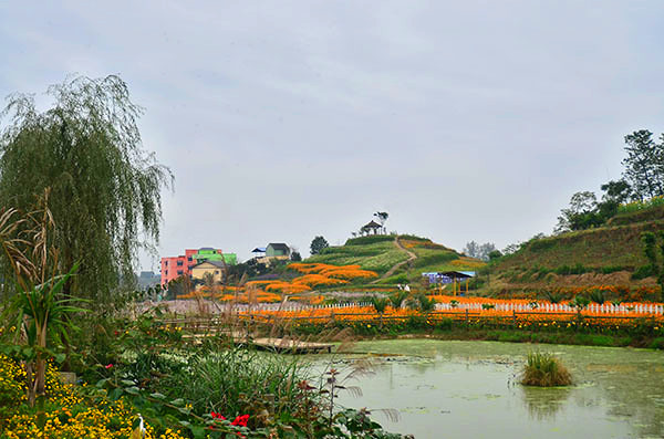 2014�����컨�ȶ�����ͼ����