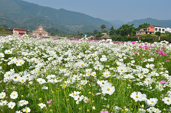 2014�����컨�ȶ�����ͼ����