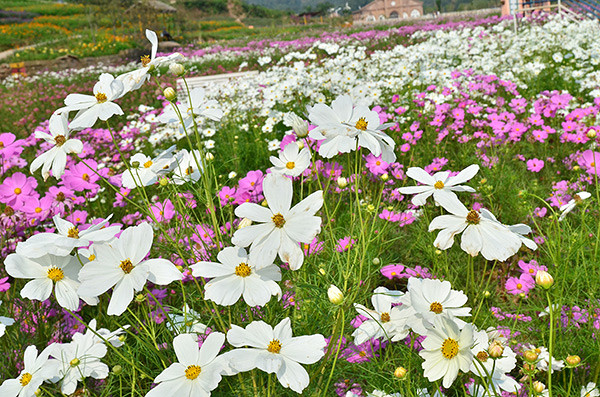 2014�����컨�ȶ�����ͼ����