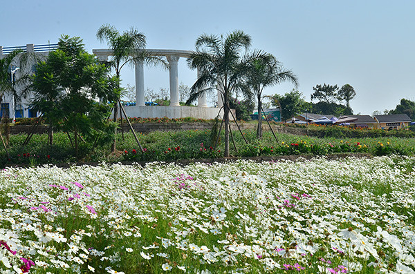 2014�����컨�ȶ�����ͼ����