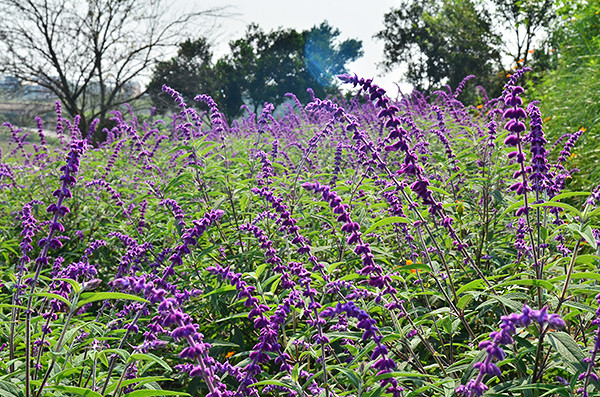 2014�����컨�ȶ�����ͼ����