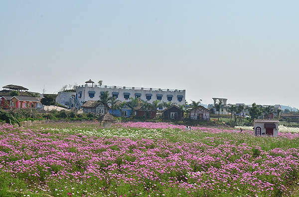 2014�����컨�ȶ�����ͼ����