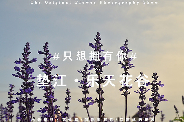 2014�����컨�ȶ�����ͼ����