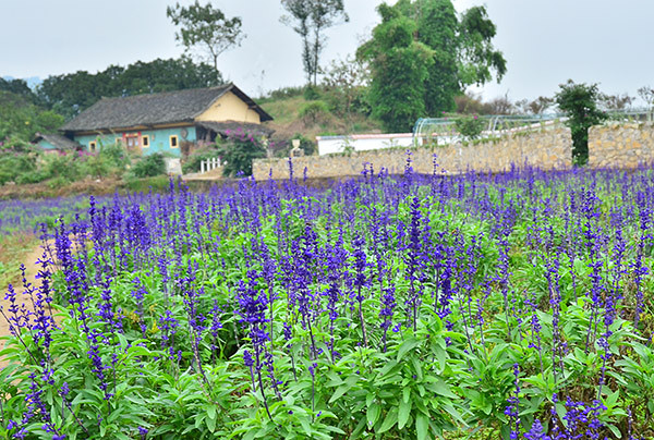 2014�����컨�ȶ�����ͼ����