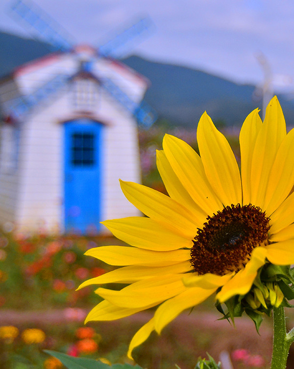 2014�����컨�ȶ�����ͼ����