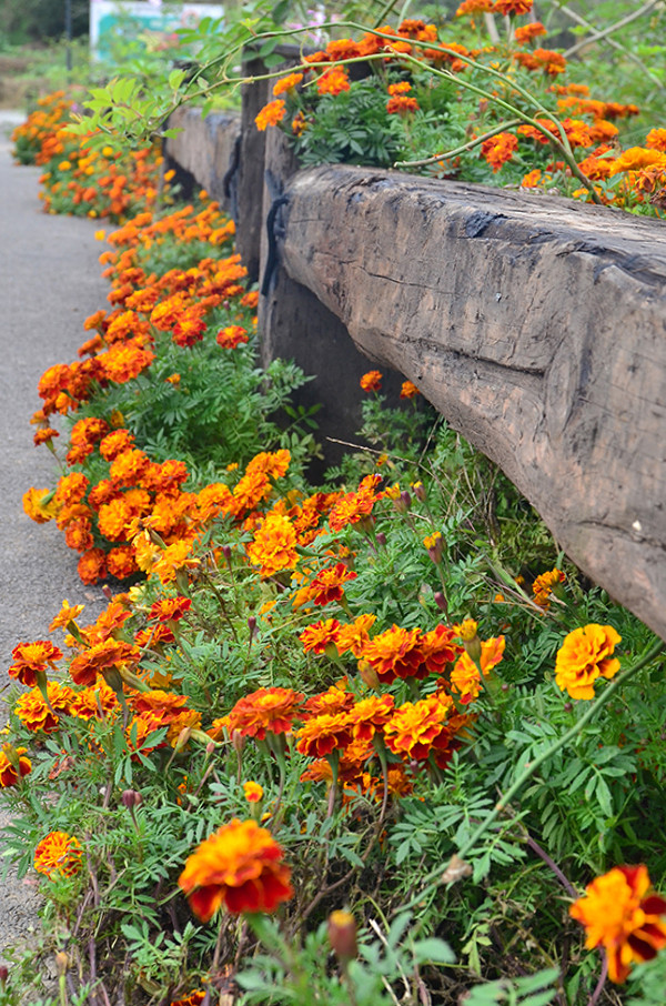 2014�����컨�ȶ�����ͼ����