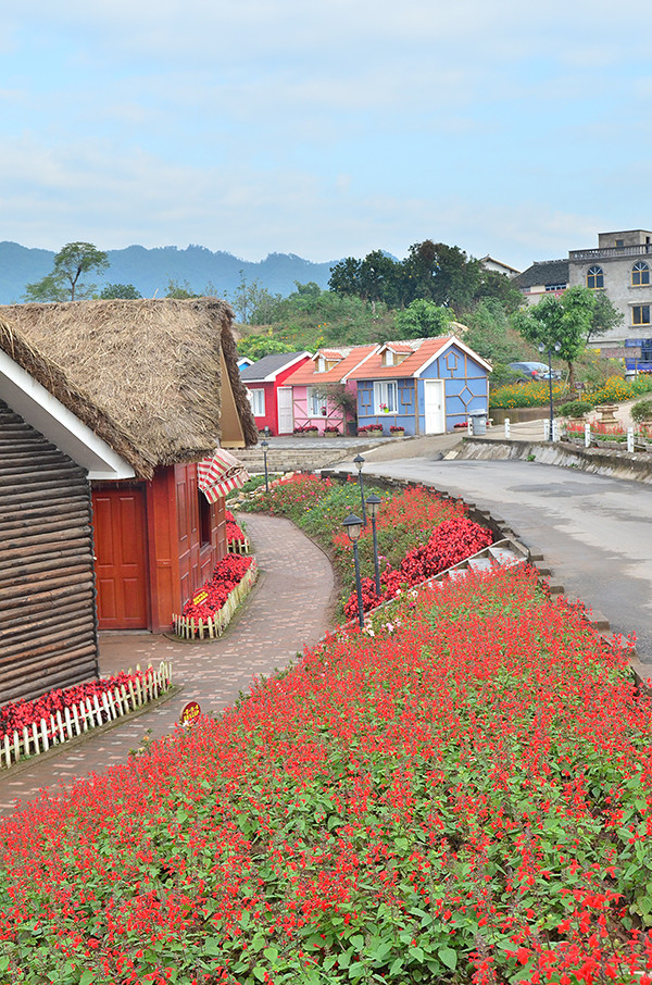 2014�����컨�ȶ�����ͼ����