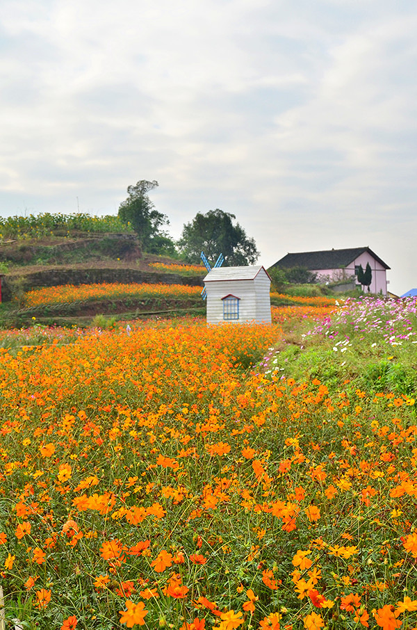 2014�����컨�ȶ�����ͼ����