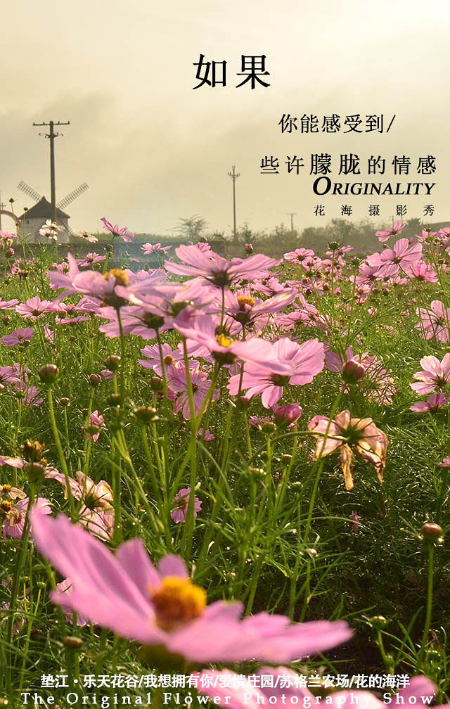 2014�����컨�ȶ�����ͼ����