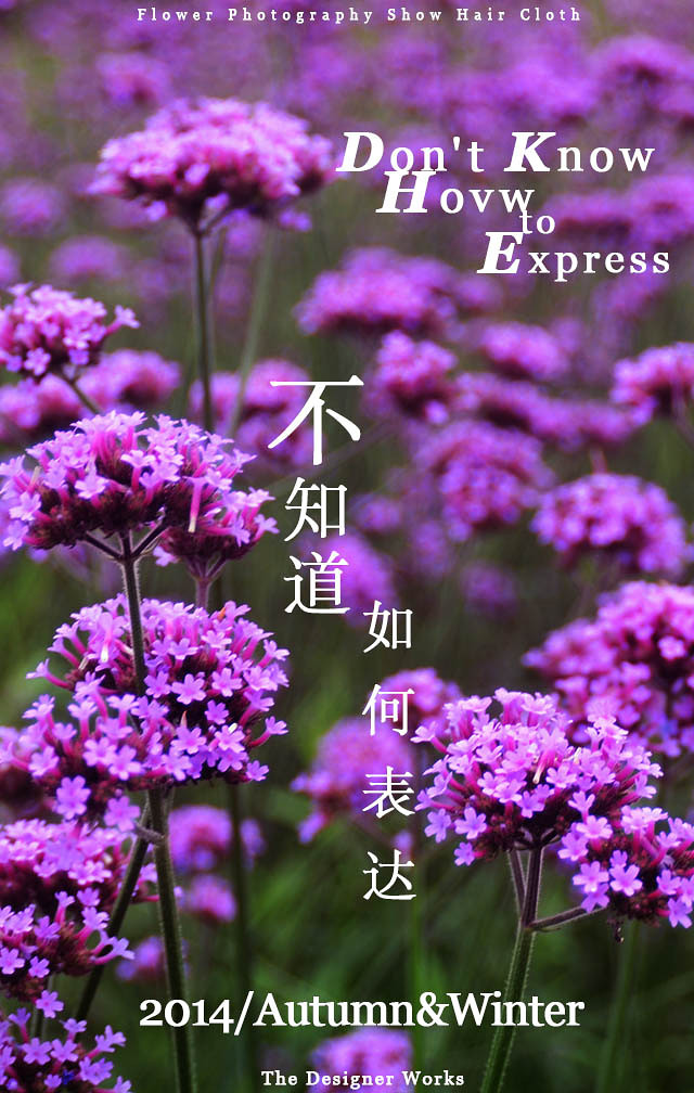 2014�����컨�ȶ�����ͼ����