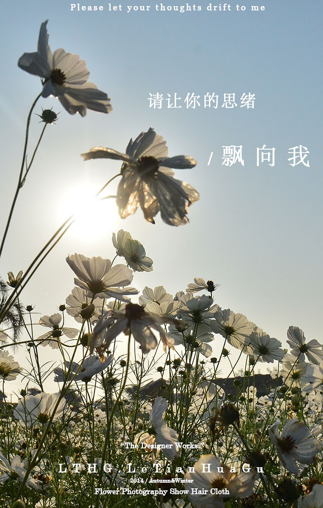 2014�����컨�ȶ�����ͼ����