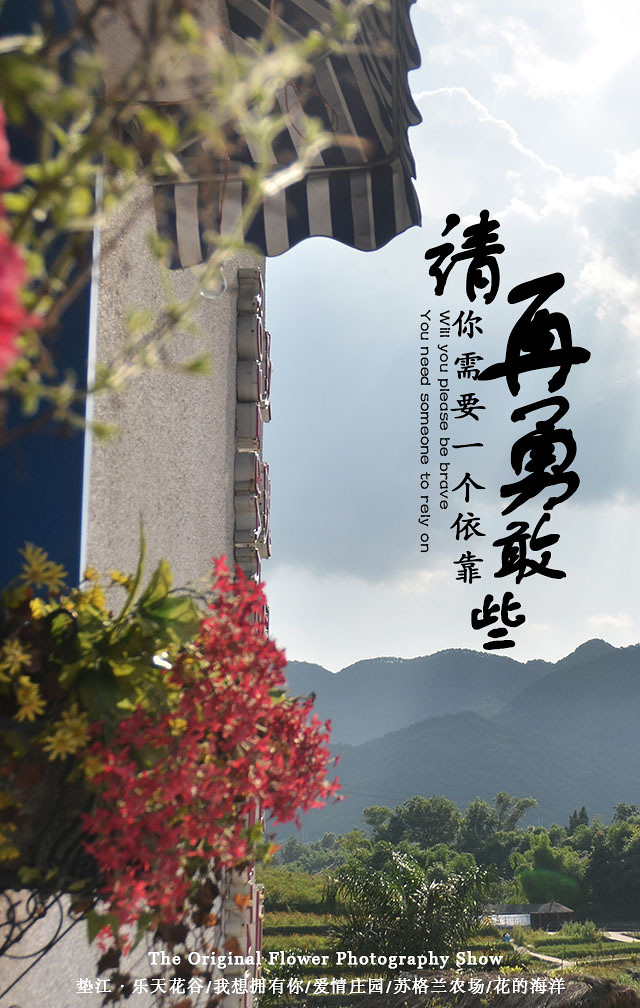 2014�����컨�ȶ�����ͼ����