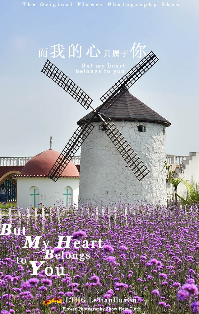 2014�����컨�ȶ�����ͼ����