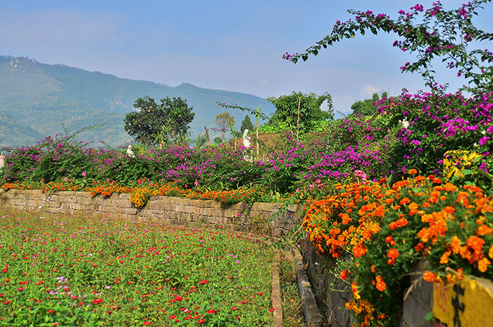 2014�����컨�ȶ�����ͼ����