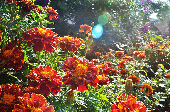 2014�����컨�ȶ�����ͼ����