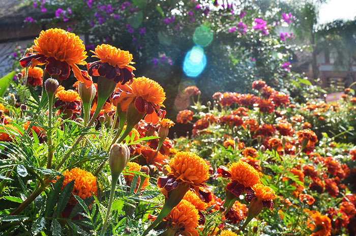 2014�����컨�ȶ�����ͼ����