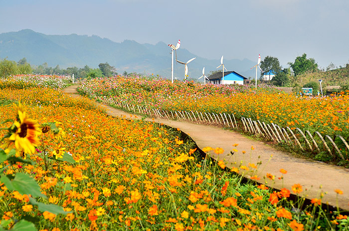 2014�����컨�ȶ�����ͼ����