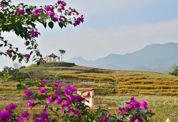 2014�����컨�ȶ�����ͼ����