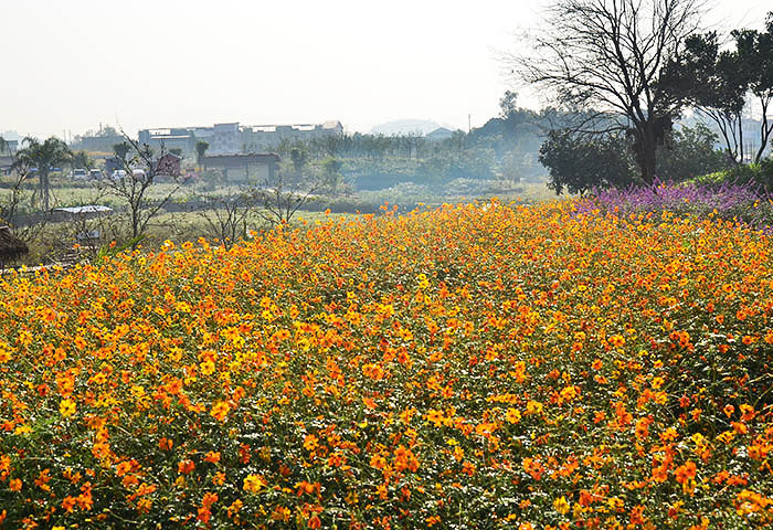 2014�����컨�ȶ�����ͼ����