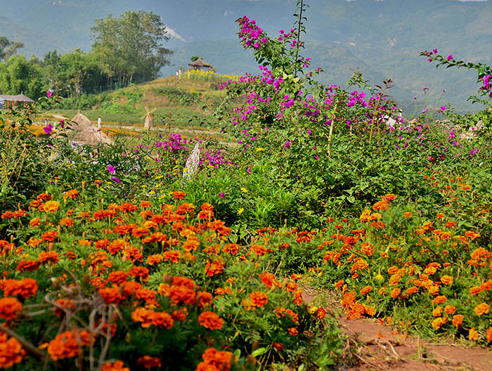 2014�����컨�ȶ�����ͼ����