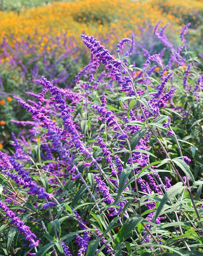 2014�����컨�ȶ�����ͼ����