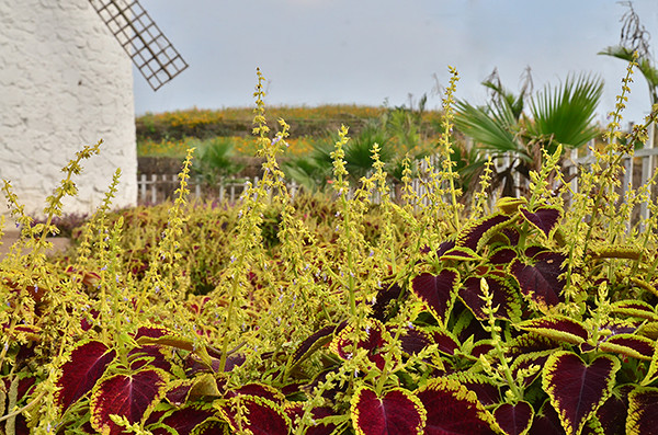 2014�����컨�ȶ�����ͼ����