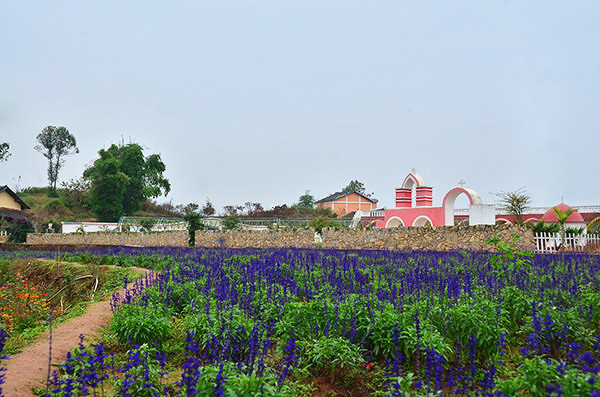 2014�����컨�ȶ�����ͼ����