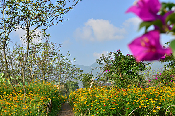 2014�����컨�ȶ�����ͼ����