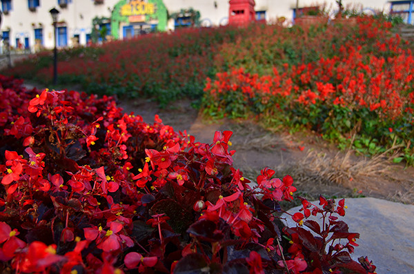 2014�����컨�ȶ�����ͼ����