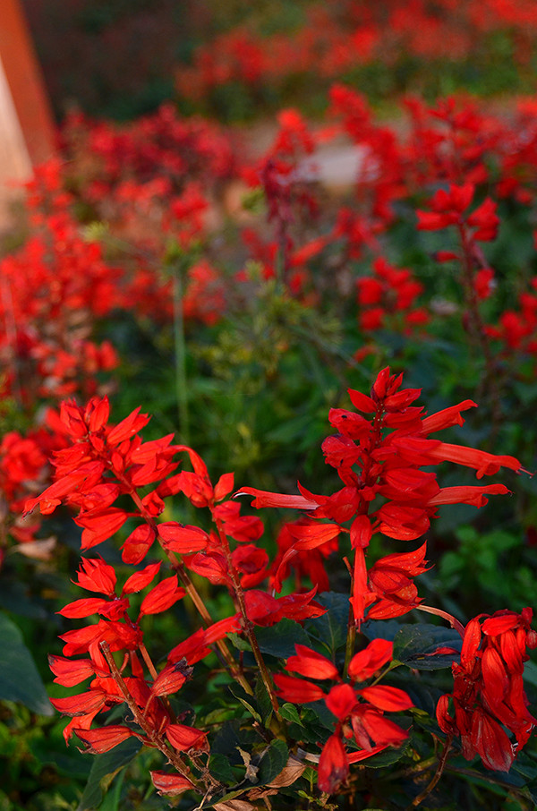 2014�����컨�ȶ�����ͼ����