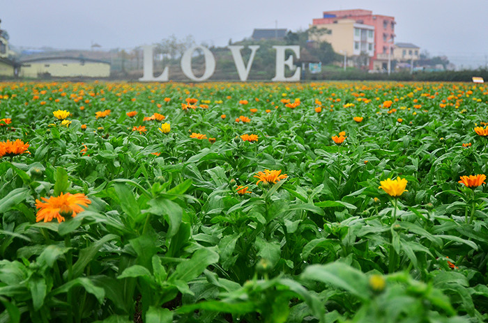 2014�����컨�ȶ�����ͼ����