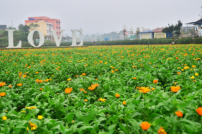 2014�����컨�ȶ�����ͼ����