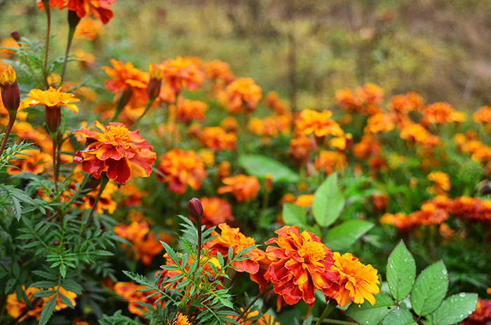 2014�����컨�ȶ�����ͼ����