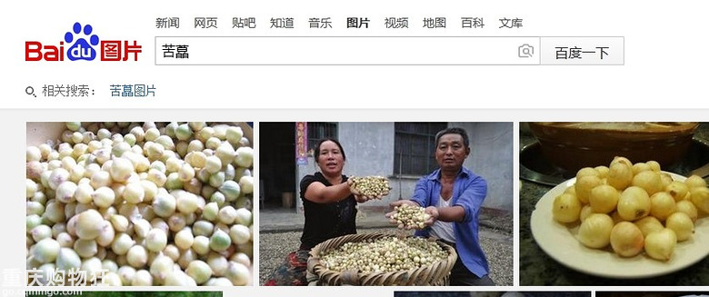 苦藠（jian）和藠头的区别，今天终于搞清楚了