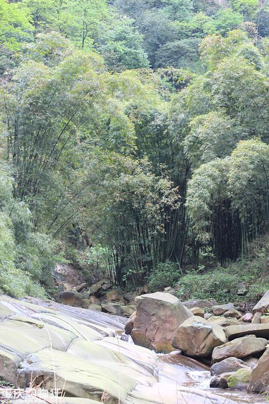 三月南行记：藏在深山无人识的璞玉——綦江盘谷